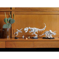 LEGO [Ideas] - Dinosaur Fossils (21320)- Image 9