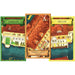 Masters of Venice - Economic Civilization Board Game for Adults (2-5 Players, Ages 15+) - R&R Games