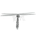 Metal Earth - Dragonfly 3D Model - Fascinations - 10640