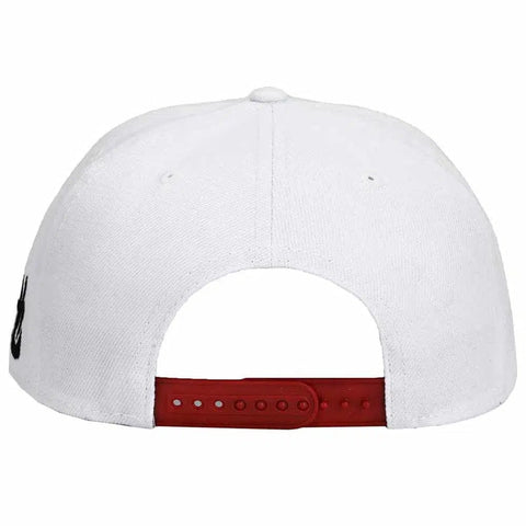 Naruto - Jiraiya Sage Mode 3D Cosplay Snapback Hat (Flat Bill) - Bioworld