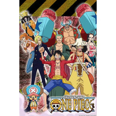 One Piece | Anime Series | DVD
