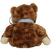 Pappa 2004 Bear Plush (8") - Ty - Original Beanie Babies Series