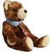 Pappa 2004 Bear Plush (8") - Ty - Original Beanie Babies Series