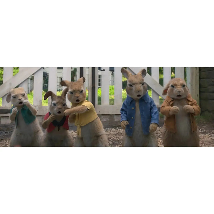 Peter Rabbit | Family Animated Movie | DVD