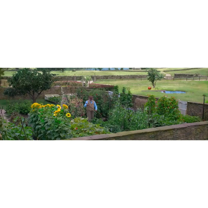 Peter Rabbit | Family Animated Movie | DVD