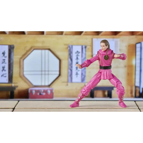 Power Rangers x Cobra Kai - Pink Mantis Ranger Outfit Morphed Samantha Larusso (6
