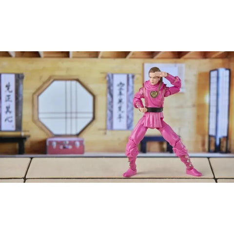Power Rangers x Cobra Kai - Pink Mantis Ranger Outfit Morphed Samantha Larusso (6
