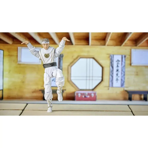 Power Rangers x Cobra Kai - White Crane Ranger Outfit Morphed Daniel Larusso (6