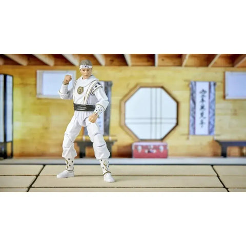 Power Rangers x Cobra Kai - White Crane Ranger Outfit Morphed Daniel Larusso (6