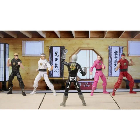 Power Rangers x Cobra Kai - White Crane Ranger Outfit Morphed Daniel Larusso (6