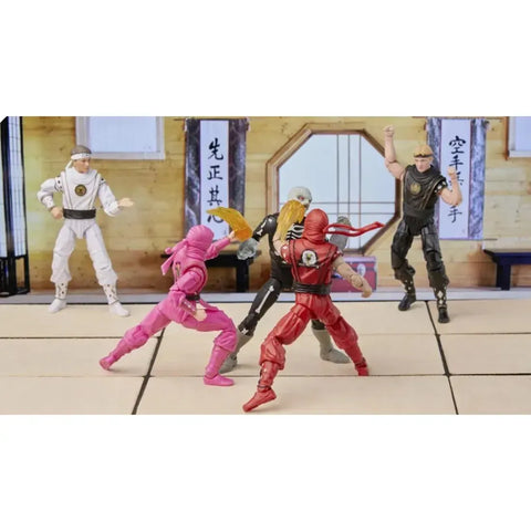 Power Rangers x Cobra Kai - White Crane Ranger Outfit Morphed Daniel Larusso (6