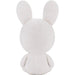 Rayman Raving Rabbids - Sitting Rabbid Rabbit Plush (10") - Youtooz