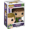 Scooby-Doo - Shaggy Rogers Figure (3.75