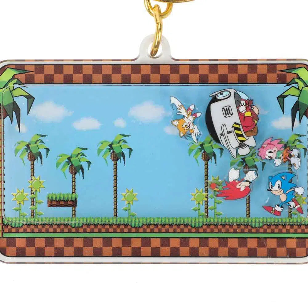 Sonic The Hedgehog - Multiple Characters Shaker Keychain - Bioworld