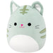 Squishmallows - Chase the Green Tabby Cat Plush (12") - Jazwares - (2024)