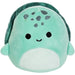 Squishmallows - Cole the Green Turtle Plush (5.5") - Jazwares- Critters Series - (2022)