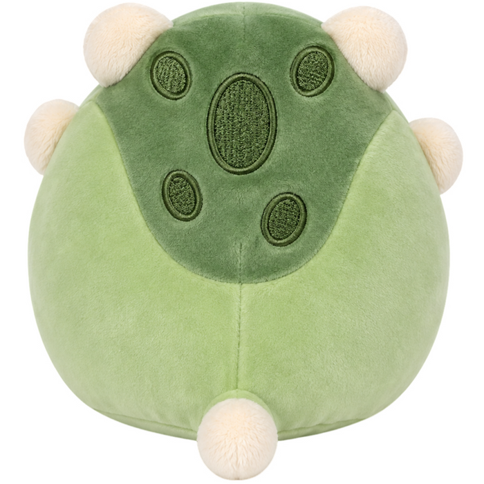 Squishmallows - Nolan the Ankylosaurus Plush (5") - Jazwares - (2024)