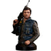 Star Wars - Cassian Andor Mini-Bust Statue Figure (1:6 Scale, Limited Edition 1 of 2,000) - Gentle Giant LTD