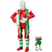 Star Wars - Protocol Droid (Holiday Edition) Action Figure (6") - Hasbro - The Black Series
