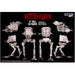 Star Wars [Return of the Jedi] - Imperial AT-ST Walker Vehicle Model Kit (1:100 Scale) - MPC - (2022)
