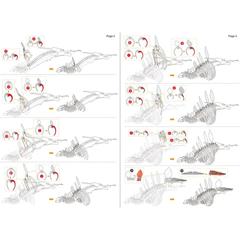 Stegosaurus Skeleton Dinosaur 3D Figure Model Kit (Steel, Moderate Difficulty) - Fascinations - Metal Earth Series - (2022) - Image 8
