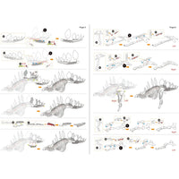 Stegosaurus Skeleton Dinosaur 3D Figure Model Kit (Steel, Moderate Difficulty...- Image 9