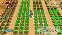 Story of Seasons: Friends of Mineral Town - Nintendo Switch- Image 2