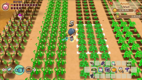 Story of Seasons: Friends of Mineral Town - Nintendo Switch