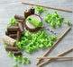 Terra Kids Connectors Backyard Craft Kit Starter - 86 Piece Set - HABA
