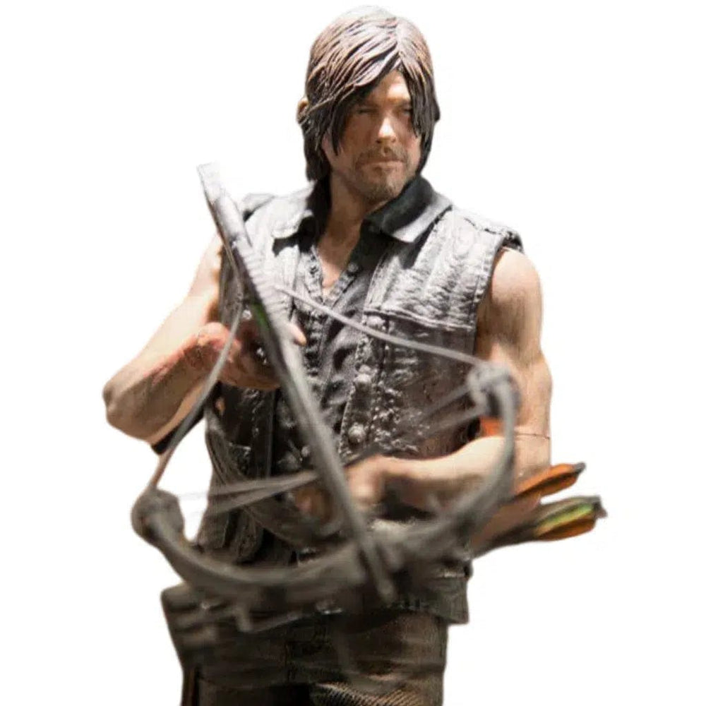 The Walking Dead (TV) - Daryl Dixon Action Figure - McFarlane Toys - McFarlane Collector Program (2016)