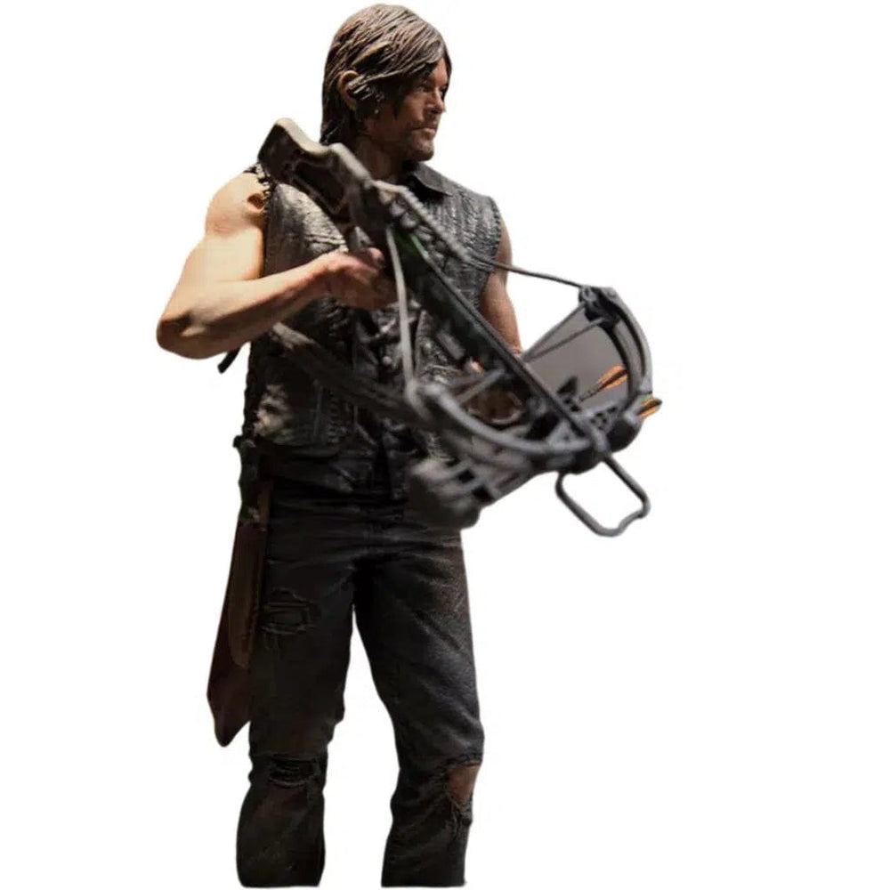 The Walking Dead (TV) - Daryl Dixon Action Figure - McFarlane Toys - McFarlane Collector Program (2016)