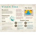 Virgin Seas - Competitive Pirate Strategy Card Game for Family and Adults (2-4 Players, Ages 10+)...