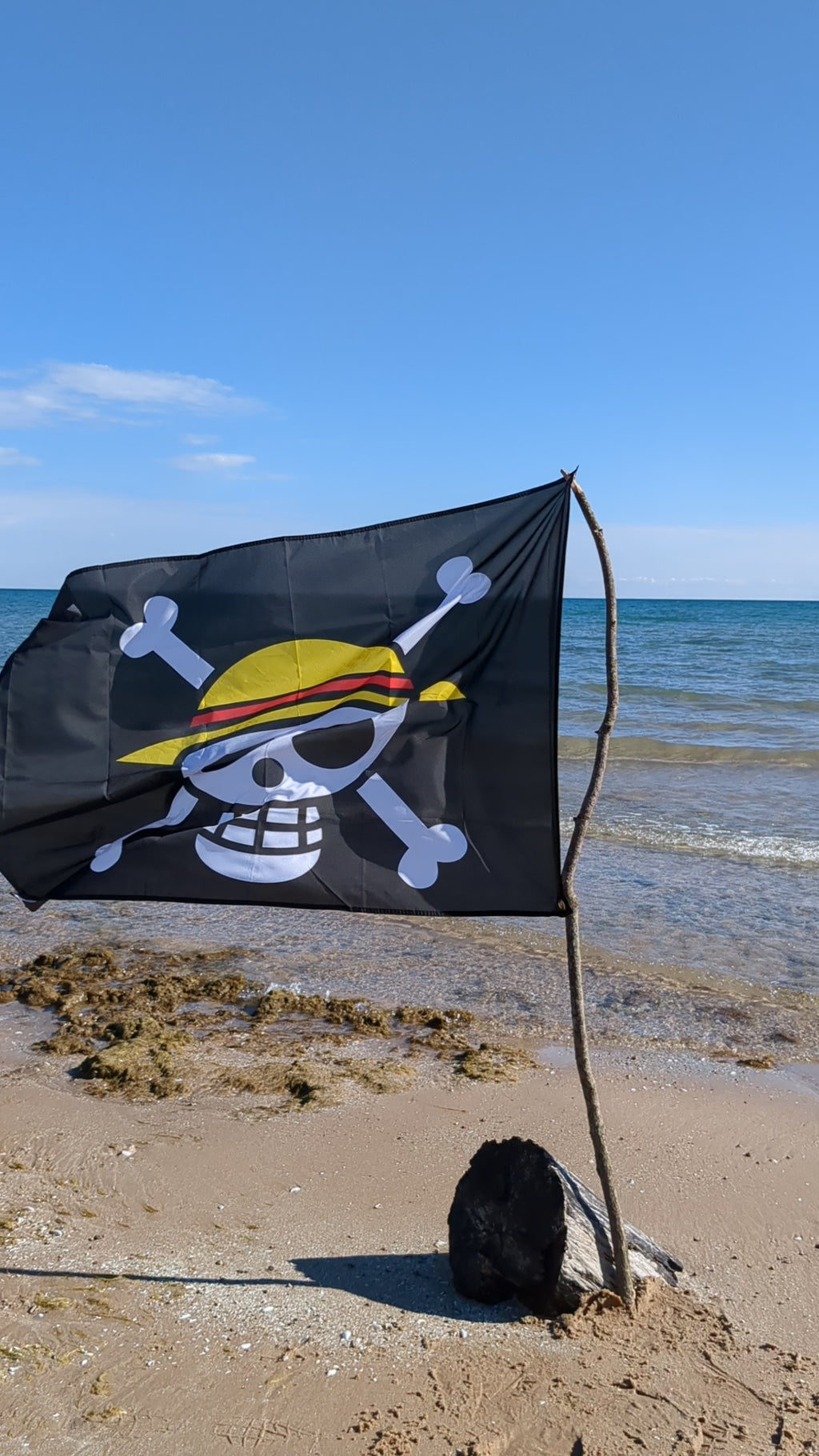 One Piece Straw Hat Crew Flag